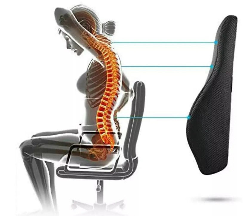 ErgoComfort Lumbar Support Pillow_3